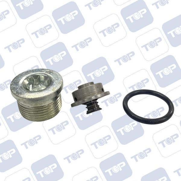 共轨油泵修理包 F 00B 202 480