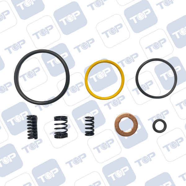 喷油器修理包 SCANIA-XP1