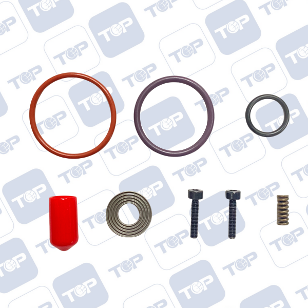 喷油器修理包 德尔福891882-DAF不带插头